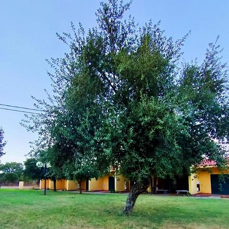 Nuraghe Ruiu Camping & Bungalow Norbello Ngoại thất bức ảnh