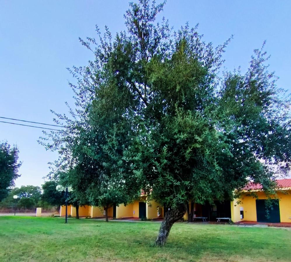 Nuraghe Ruiu Camping & Bungalow Norbello Ngoại thất bức ảnh